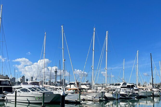 Skyline To Summit - Aucklands Ultimate Private City Experience - Final Thoughts: Who Will Love This Tour?