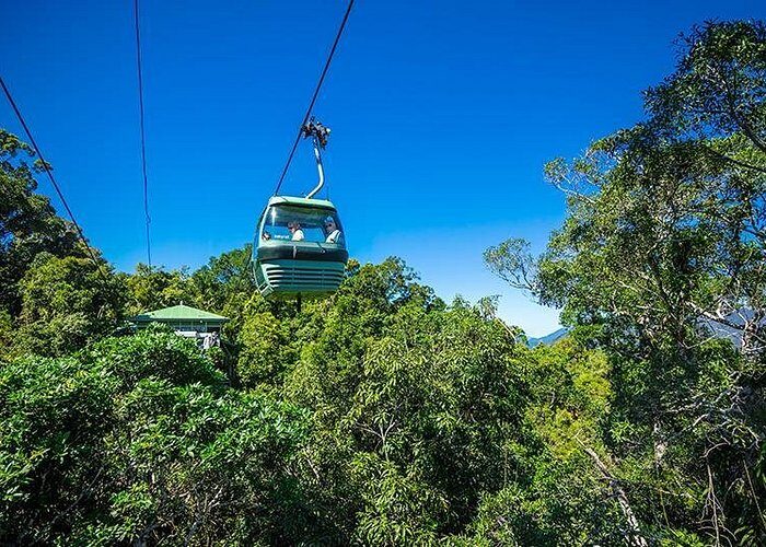 Skyrail Rainforest Cableway Day Trip from Cairns - Final Thoughts