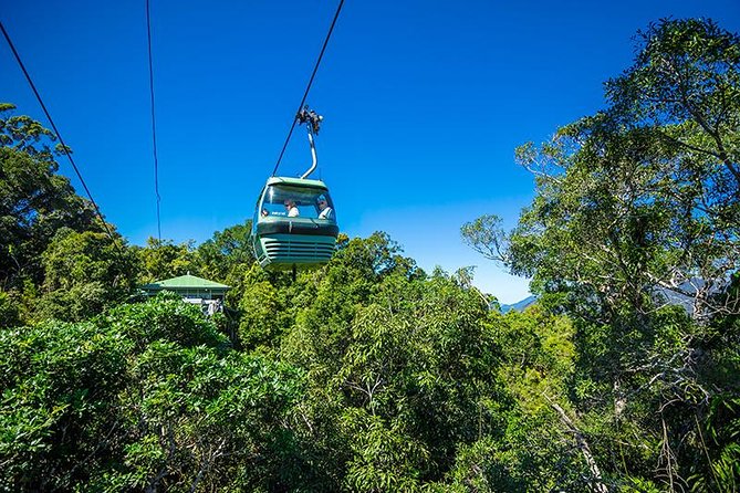 Skyrail Rainforest Cableway Day Trip From Cairns - What to Expect