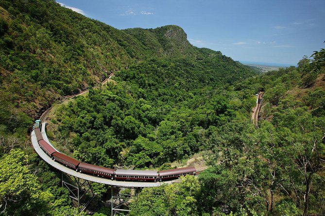 Skyrail Rainforest Cableway Day Trip From Cairns - Highlights of the Skyrail Rainforest Cableway