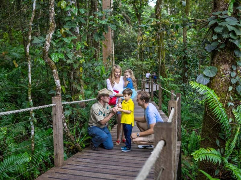 Skyrail Rainforest Cableway Round-Trip Experience - The Value of the Skyrail Experience