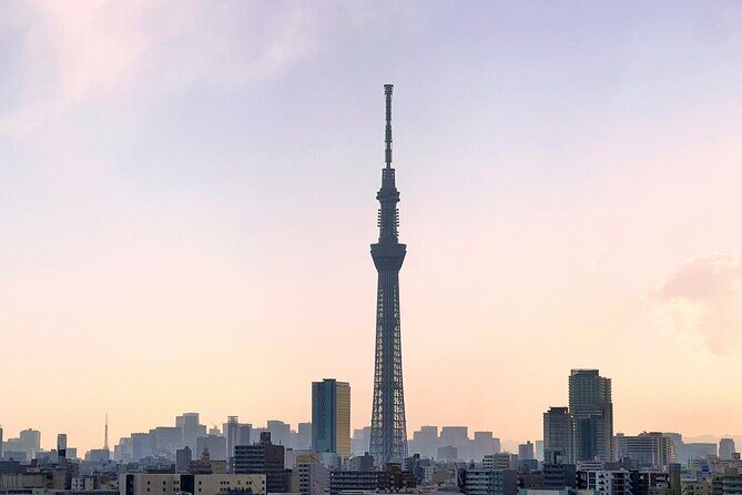 Skytree Ticket - Insights from Reviews and What Travelers Say