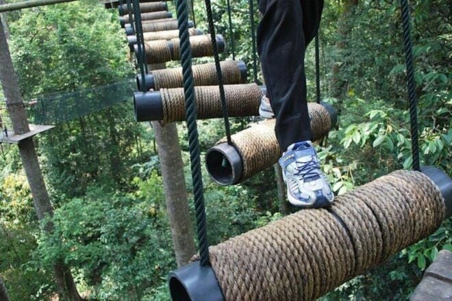 Skytrex Adventure Park Experience in Sg Congkak - Aerial Obstacles and Rainforest Wonders