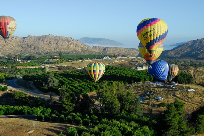 Skyward at Sunrise: A Premiere Temecula Balloon Adventure - Overview and Logistics