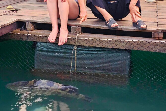 Skyway Cruise 2D1N Lan Ha Bay & Cat Ba Island All Inclusive - Final Thoughts