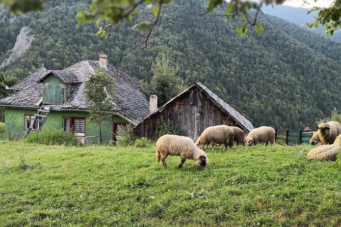 Slanic Salt Mines & Village Charms: Bucharest Day Escape - The Sum Up