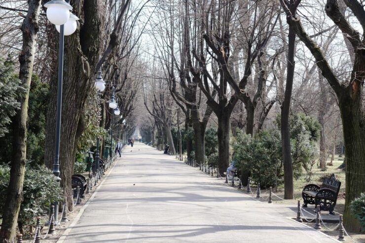 Slavery in Romania:Myths and Truths on Gypsies, Walking Tour - Itinerary Highlights