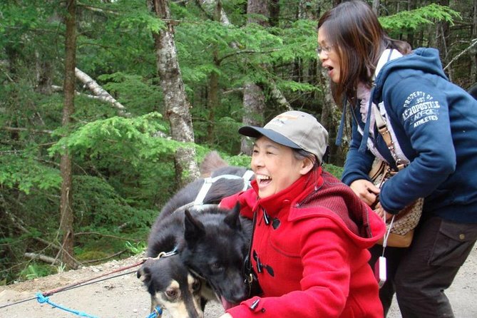 Sled Dog Discovery in Juneau - Traveler Photos