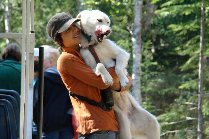 Sled Dog Discovery in Skagway - Directions and Meeting Point