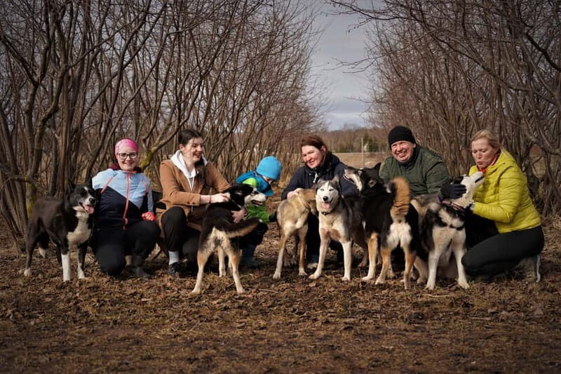 SLED DOG KENNEL VISIT TARTU COUNTRY ESTONIA - What to Expect from the Sled Dog Kennel Visit