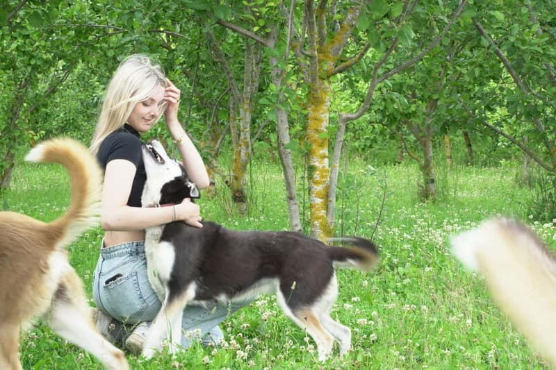SLED DOG KENNEL VISIT TARTU COUNTRY ESTONIA - FAQ