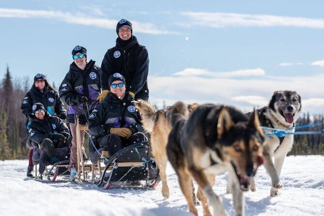Sled Dog Ride and Scenic Drive from Anchorage - Who Should Consider This Tour?