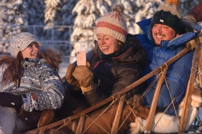Sled Dog Sampler Ride in Fairbanks - Meeting and Pickup