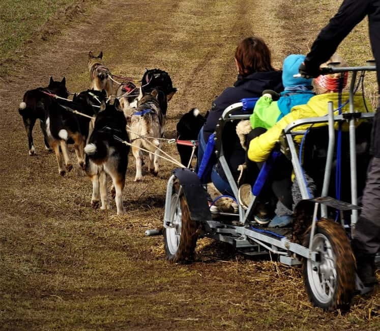 SLED DOGS VISIT & DRIVE ROUND TARTU COUNTRY ESTONIA - Good To Know