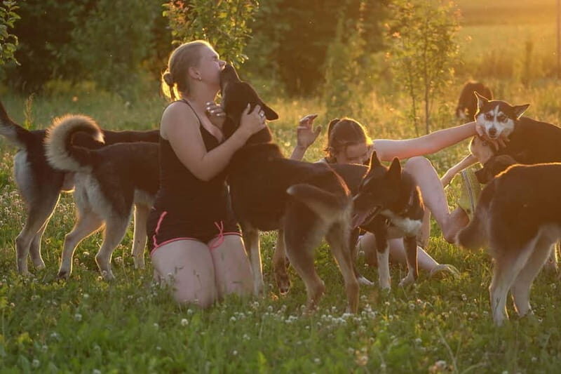 SLED DOGS VISIT & DRIVE ROUND TARTU COUNTRY ESTONIA - FAQ