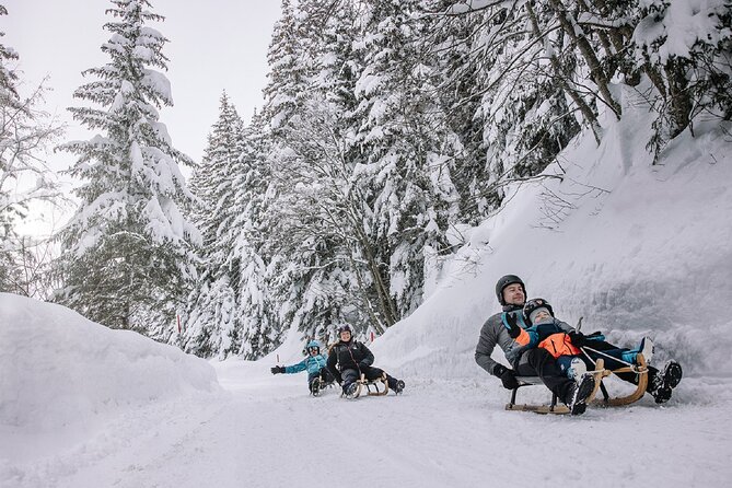 Sledding Adventure With Chocolate Degustation - Traveler Photos