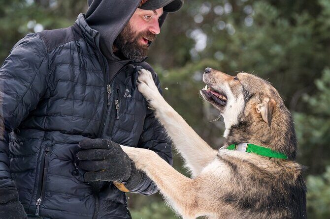 Sledding and Homesteading Adventure - The Kennel Visit
