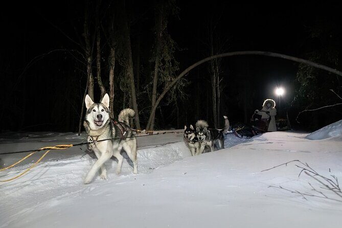Sledding and Homesteading Adventure - Practical Details: What You Need to Know