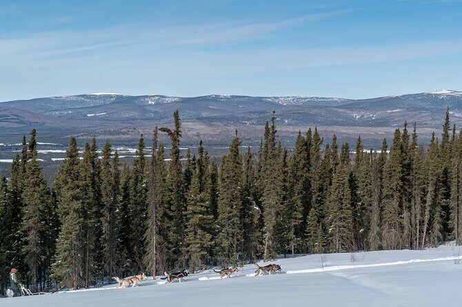 Sledding and Homesteading Adventure - Guides and Authenticity
