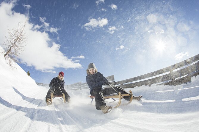 Sledding With Cheese Fondue - Meet at Männlichen for Adventure