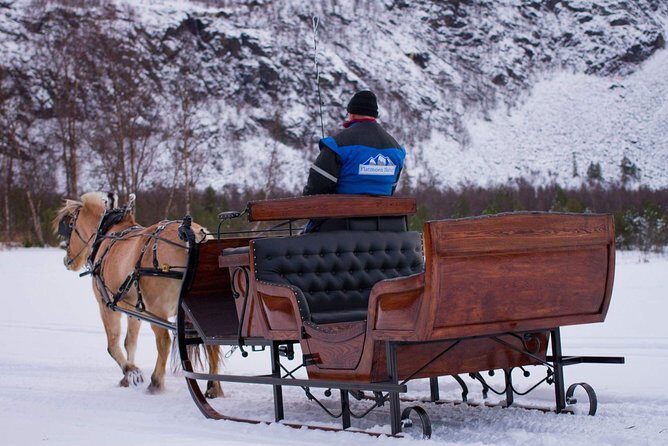 Sleigh or wagon ride in the arctic Country side - Good To Know