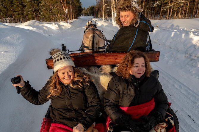 Sleigh or wagon ride in the arctic Country side - The Overview: A Peaceful Ride into Norway’s Wilderness