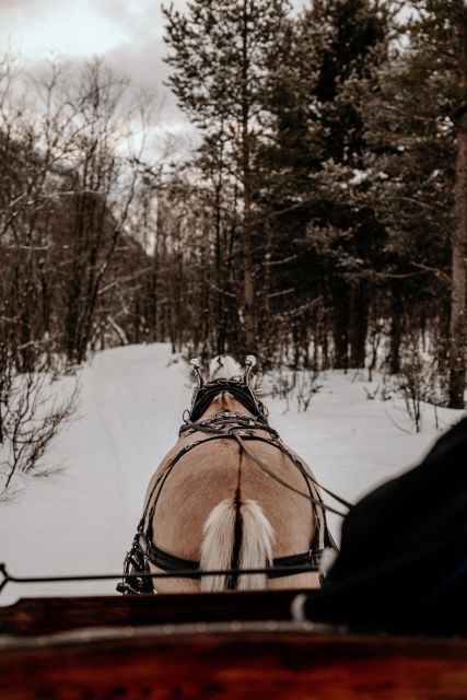 Sleigh Ride and Dining Experience - Full Experience Description