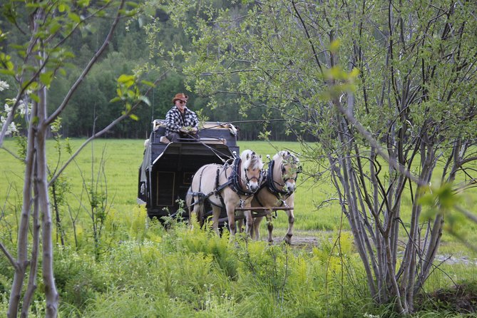 Sleigh Ride W/ Tapas Meal - Experience Arctic Farm Life - Visit a Family Farm
