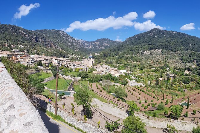 Slingshot Day Tour From Paguera - What To Expect