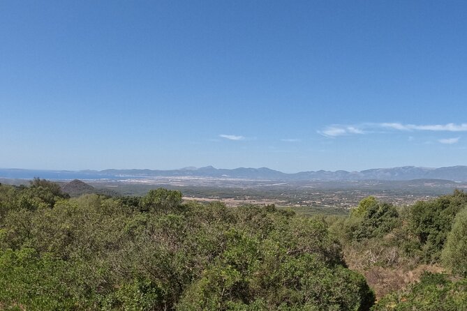 Slingshot Day Tour From Paguera - Cancellation Policy