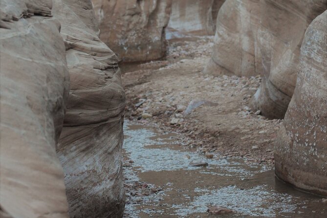 Slot Canyon 2hr Tour in Grand Staircase/Greater Bryce Area! - Traveler Photos and Reviews