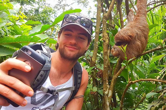 Sloth Discovery From Playa Del Coco Area - Tour Highlights