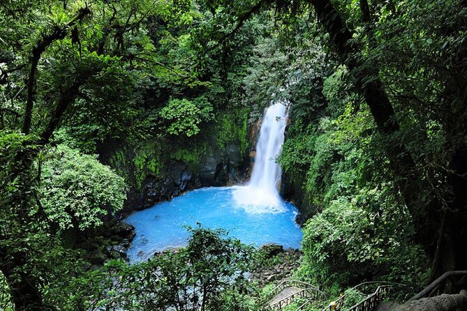 Sloths, Rio Celestes & Rainforest With Lunch, Full Day Tour - Inclusions and Exclusions