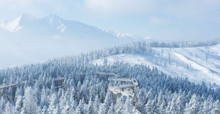 Slovakia: Treetop Walk & Thermal Baths From Krakow - Tour Highlights