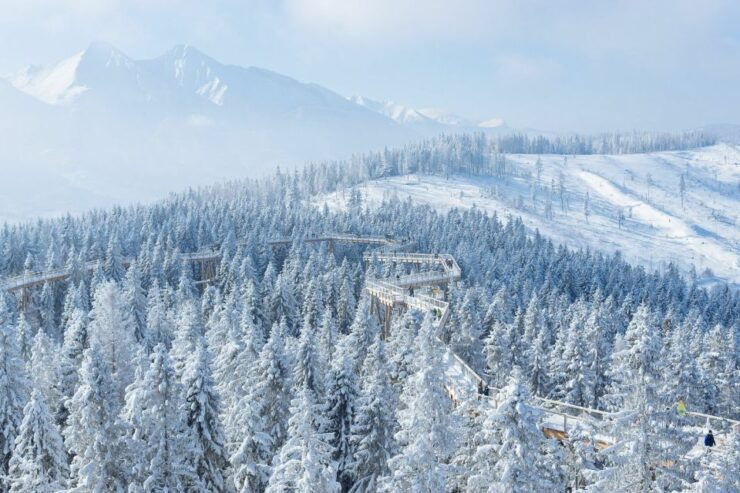 Slovakia: Treetop Walk & Thermal Baths From Krakow - Booking Details for the Experience