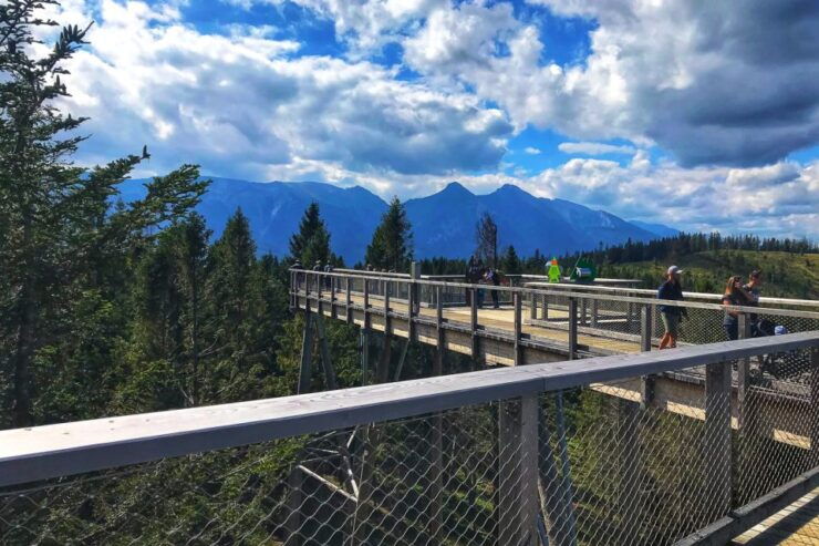 Slovakia: Treetop Walk & Thermal Baths From Krakow - Highlights of the Treetop Walk