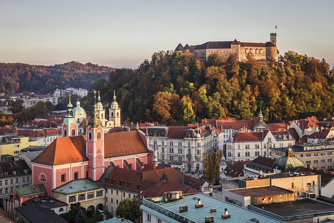 Slovenia Private Tour Including Ljubljana & Bled From Vienna - Cancellation Policy