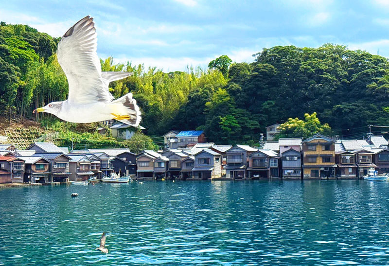 Slow Travel in Kyoto by the Sea: Amanohashidate and Ine no Funaya - Who should book this coastal day trip?