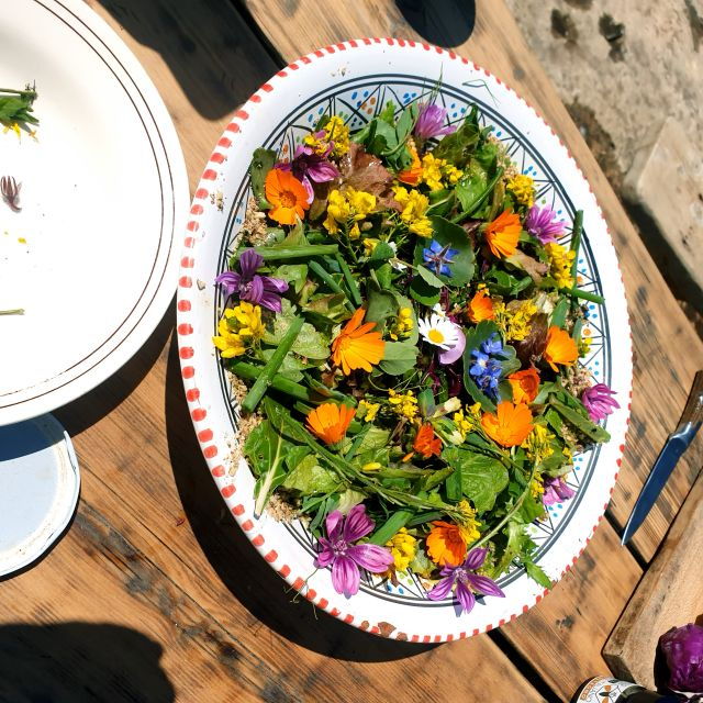Slowlife Family Farm: From Garden to Table - The Sum Up: Who Will Love This Tour?