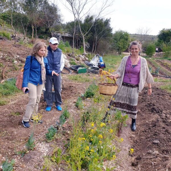 Slowlife Family Farm: From Garden to Table - Farm Customization Options