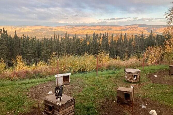 Sluice Box Kennel Experience - Introduction