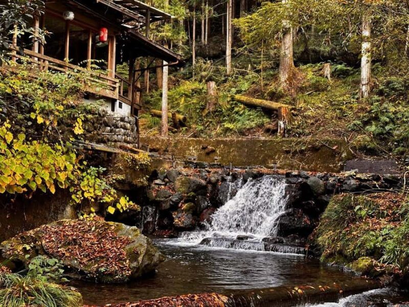 Slurp & Stroll: Kyotos Ramen Alley and Mountain Retreats - Who Would Love This Tour?