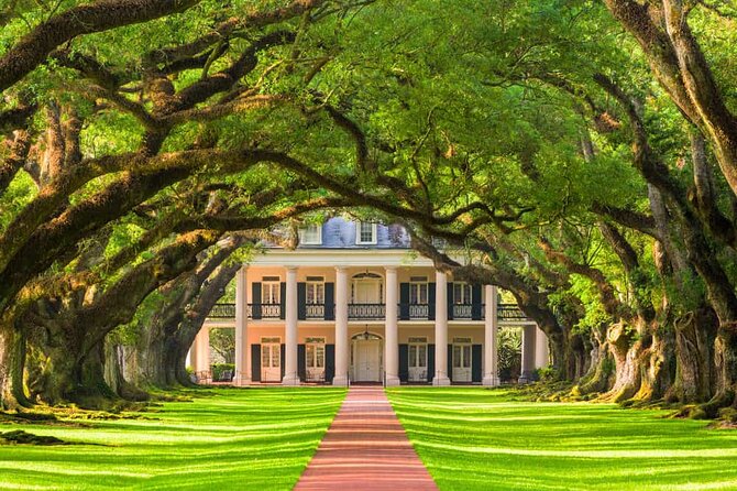 Small Airboat & Oak Alley Plantation Combo Guided Tour - Tour Details and Availability