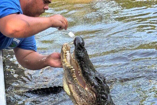 Small Airboat Tour with Transportation Must Do in New Orleans - FAQ