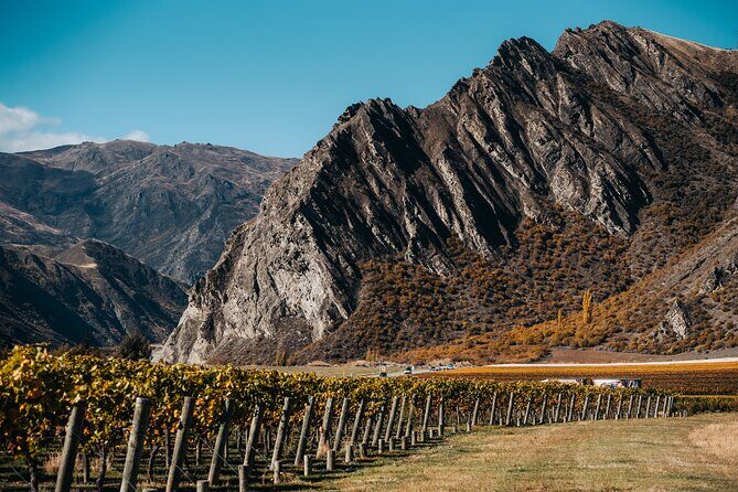 Small Batch Private Wine Experience in Gibbston, Queenstown. - Final Thoughts