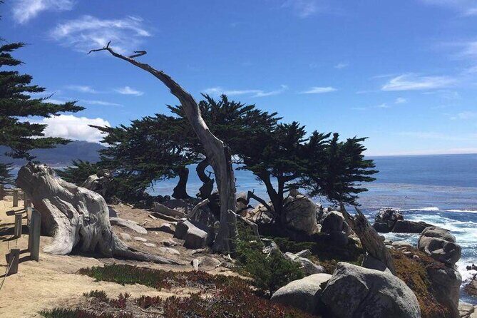 Small Group | 1 Day Tour Through Monterey From San Francisco - The Experience: What to Expect
