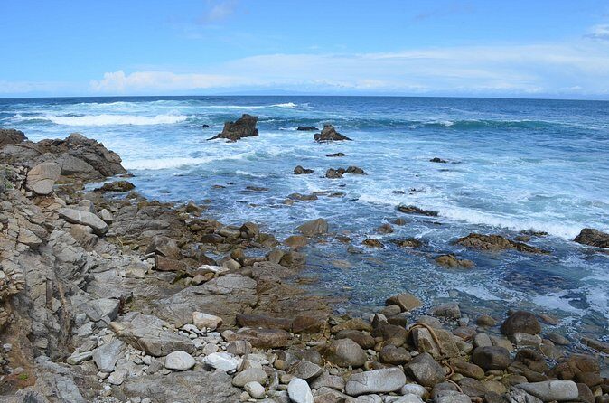 Small Group | 1 Day Tour Through Monterey From San Francisco - Who Should Consider This Tour?