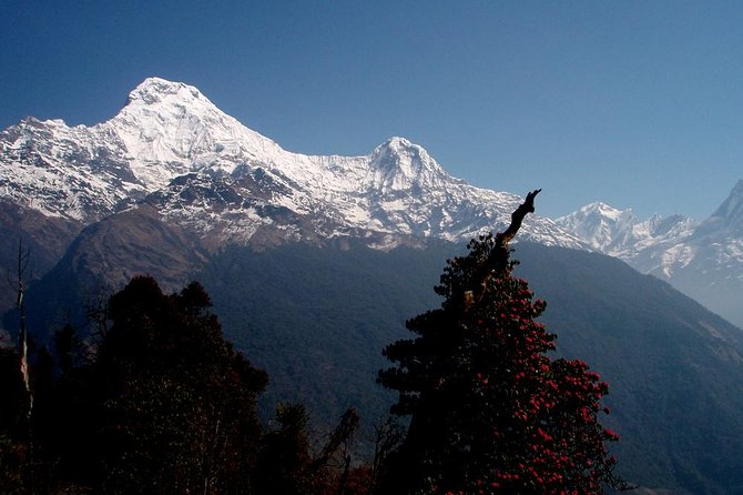 Small-Group 10-Day Trekking Tour to Poon Hill  - Kathmandu - Tour Overview