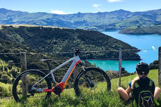 Small-Group 2.5-Hour E-Bike Cycling Tour, Akaroa Harbour  - Canterbury - Expectations and Requirements