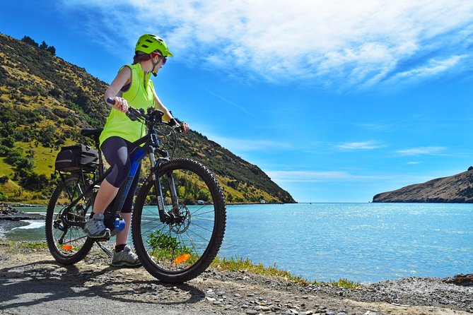 Small-Group 2.5-Hour E-Bike Cycling Tour, Akaroa Harbour  - Canterbury - Spectacular Views of Banks Peninsula
